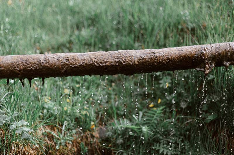 Yard Drainage - Roseville French Drain